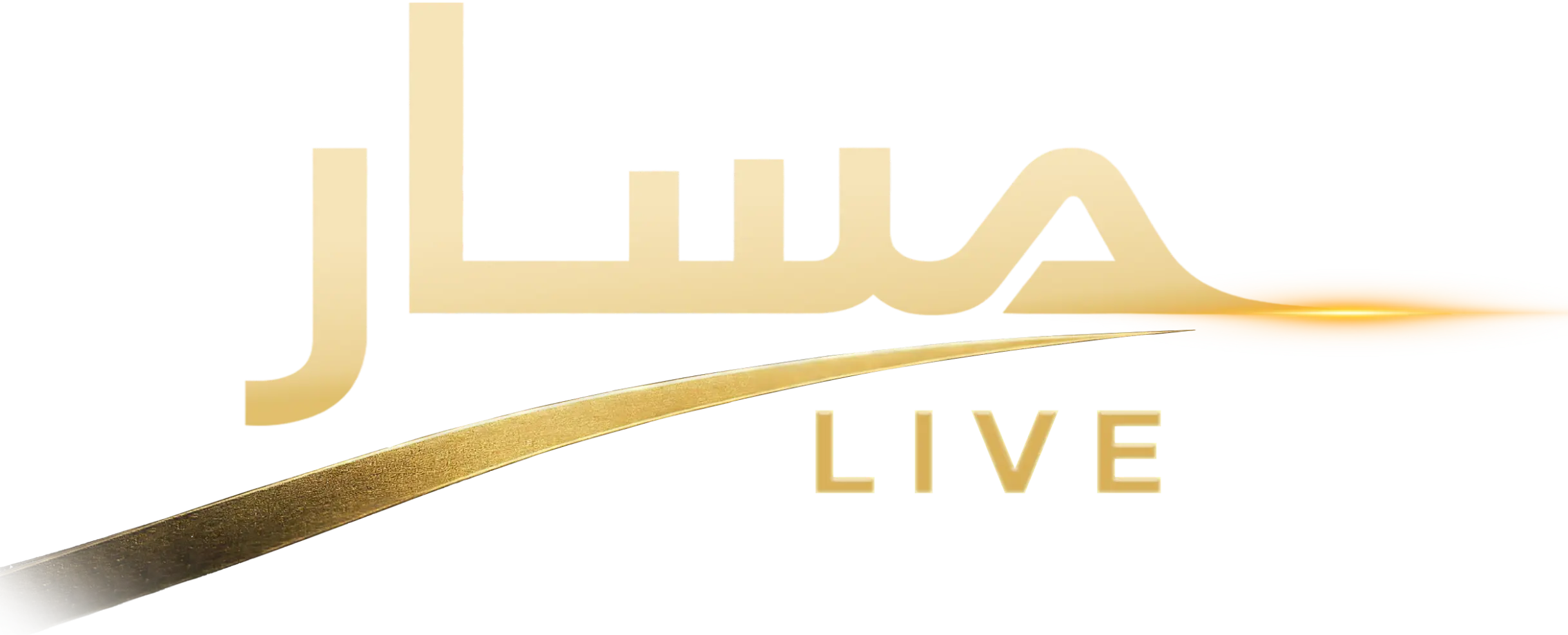 Maintenance Mode Logo